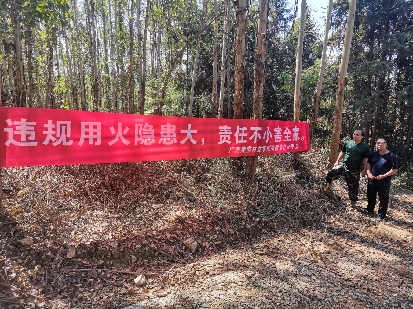 多措并举 筑牢森林安全“防火墙”