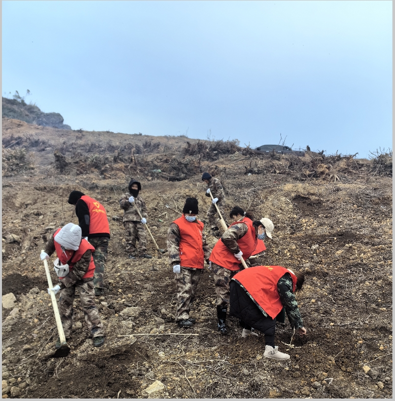 鹿鼎林业集团开展2024年春季造林备耕活动