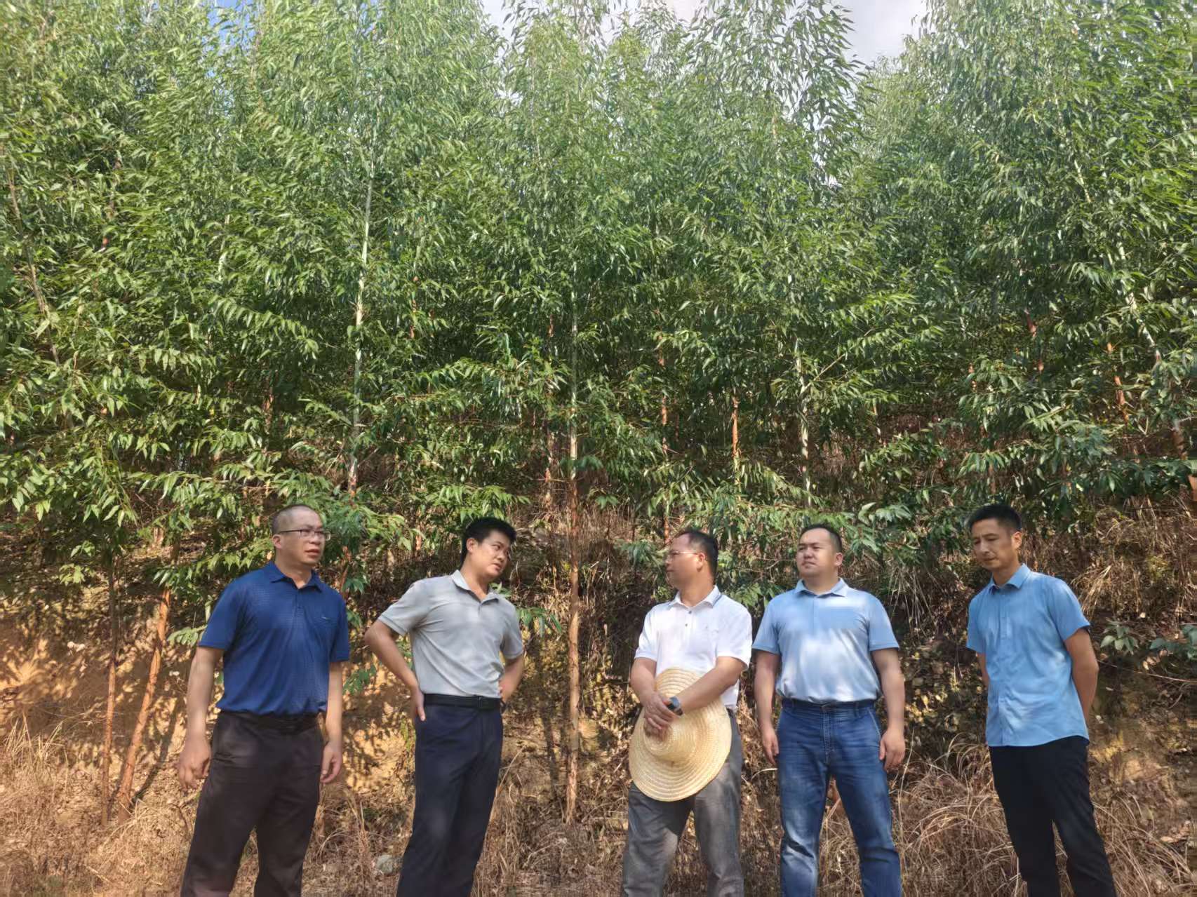 韦宏董事长深入鹿晟公司林地调研指导