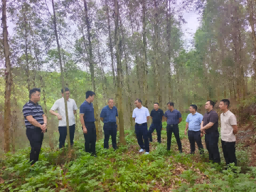 韦宏、张泽尧一行赴广东各分公司调研指导工作