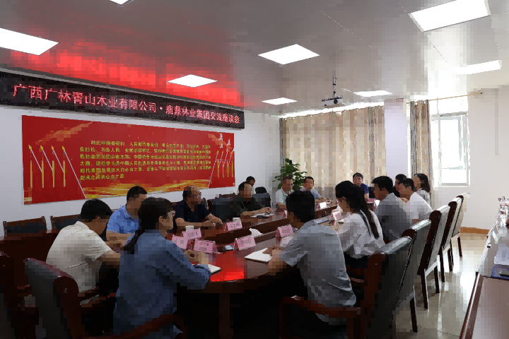 广西广林青山木业有限公司到访鹿鼎集团