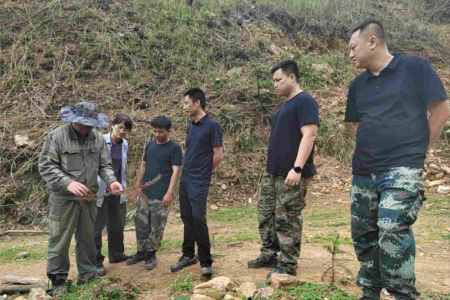 集团副总经理周律相到鹿晟公司新造林地检查指导工作