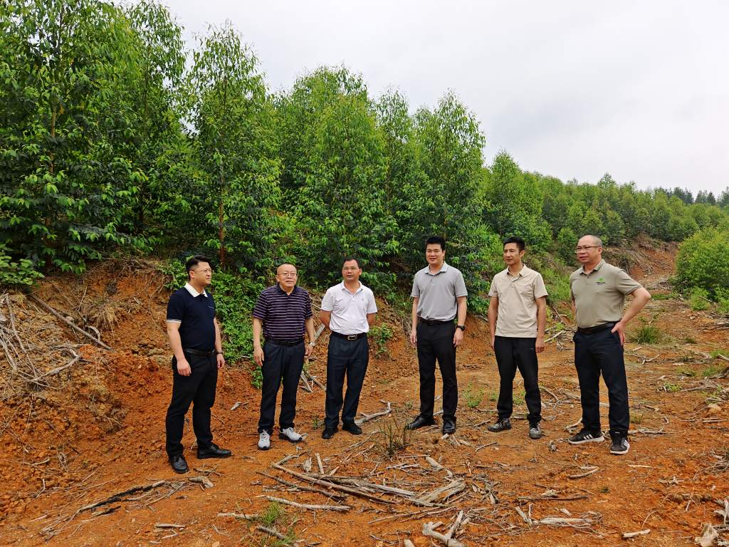 深入一线察实情，精准指导促发展 —— 韦宏、张泽尧赴集团重点林区调研指导工作