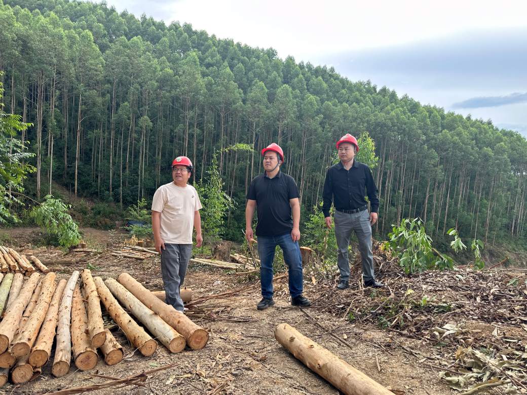 陆克宇深入伐区开展安全生产专项检查
