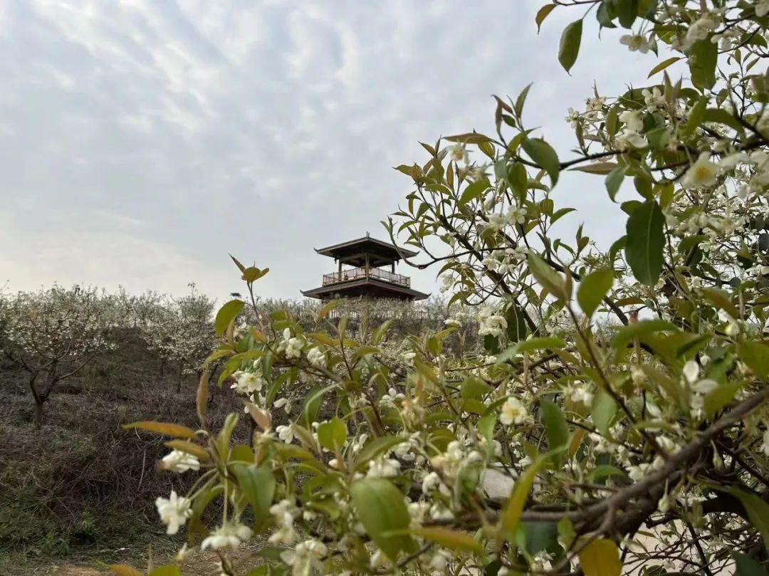 自然美景与心灵休憩佳地－鹿寨“山楂之恋”景区